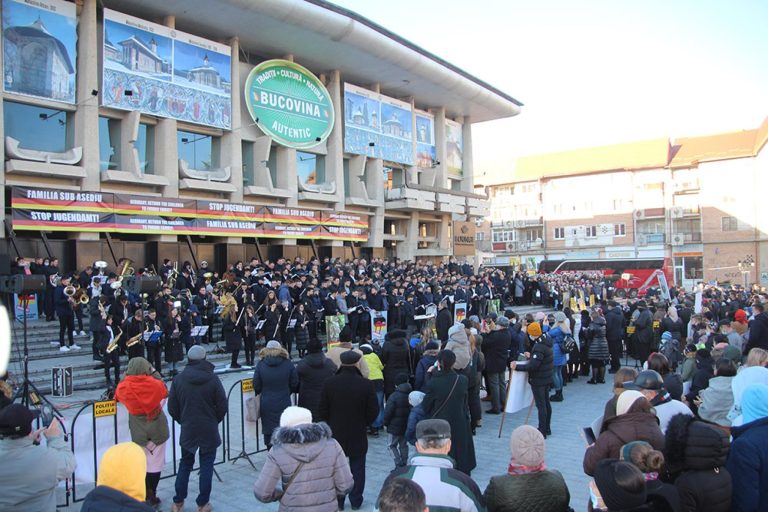 Peste o mie de suceveni au ieșit în stradă. Aceștia susțin cauza unei familii de români, căreia Protecția Copilului din Germania i-a luat cei șapte copii