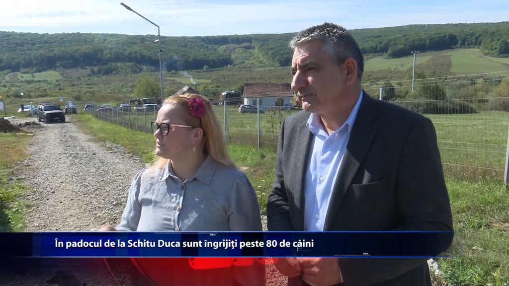 In padocul de la Schitu Duca sunt ingrijiti peste 80 de caini