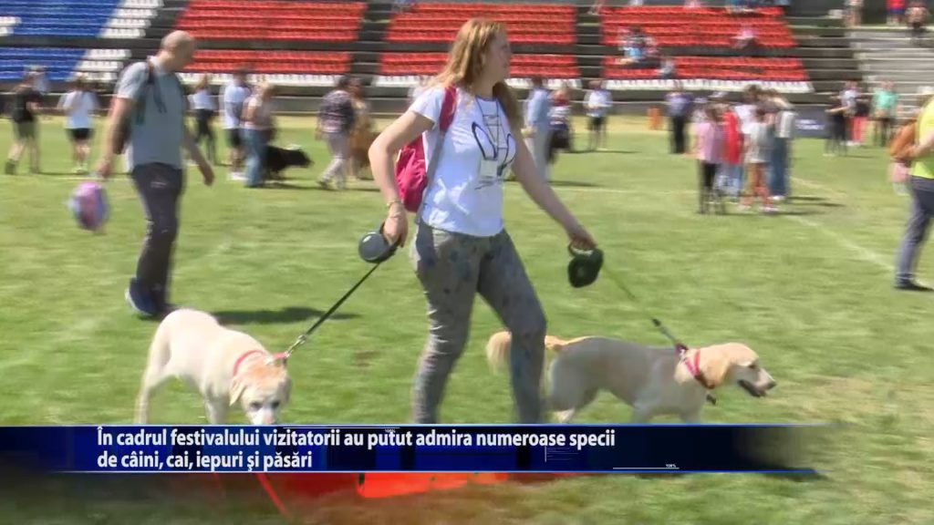 In cadrul festivalului Animal FEST, vizitatorii au putut admira numeroase specii de caini, cai, iepuri si pasari