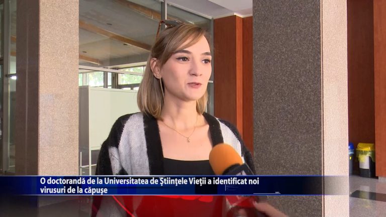 O doctoranda de la Universitatea de Stiintele Vietii a identificat noi virusuri de la capuse