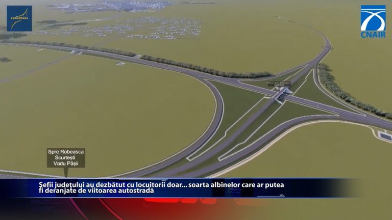 Sefii judetului au dezbatut cu locuitorii doar… soarta albinelor care ar putea fi deranjate de viitoarea autostrada