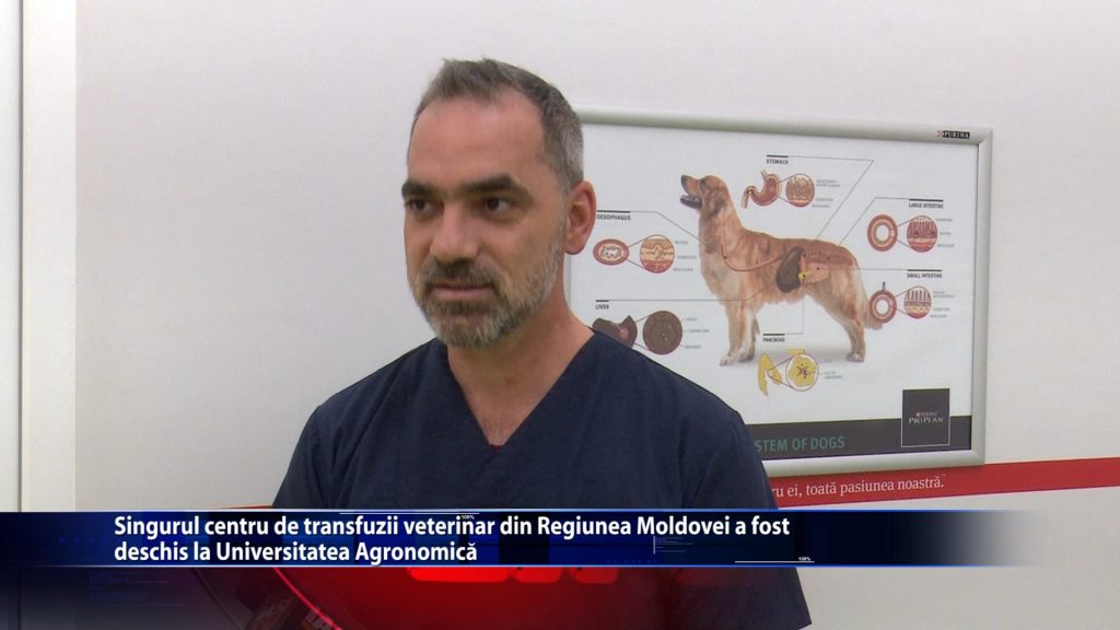 Singurul centru de transfuzii veterinar din Regiunea Moldovei a fost deschis la Universitatea Agronomica