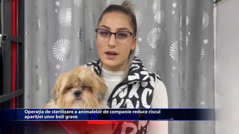 Operatia de sterilizare a animalelor de companie reduce riscul aparitiei unor boli grave