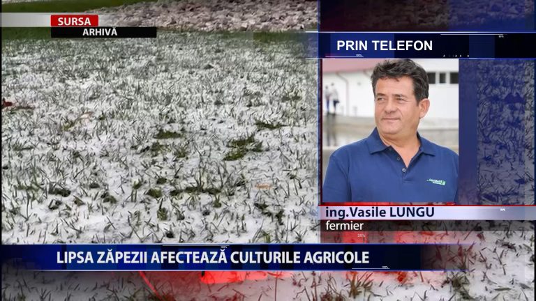 LIPSA ZAPEZII AFECTEAZA CULTURILE AGRICOLE