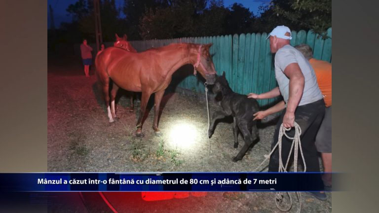 Manzul a cazut intr-o fantana cu diametrul de 80 cm si adanca de 7 metri
