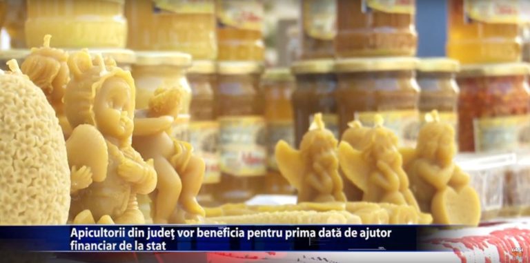 Apicultorii din judet vor beneficia pentru prima data de ajutor financiar de la stat