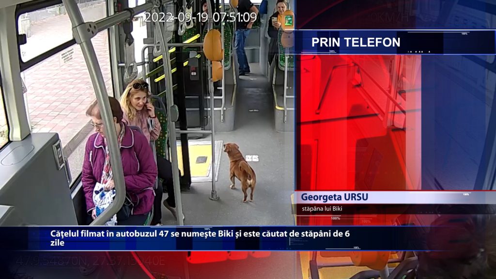 Catelul filmat in autobuzul 47 se numeste Biki si este cautat de stapani de 6 zile