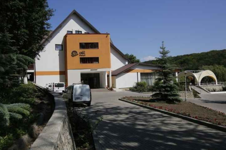 S-au plătit 1,2 milioane de euro pentru Ciric. Cine este ieșeanul care a dat banii