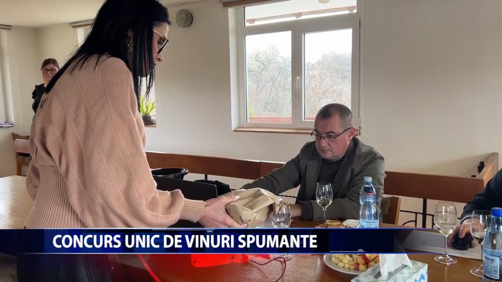 28 DE PRODUCATORI DE VINURI, LA CONCURS