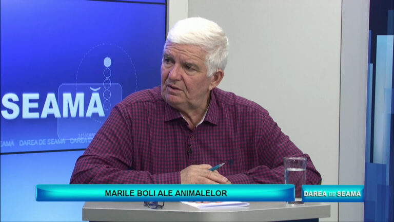 DAREA DE SEAMĂ / MARILE BOLI ALE ANIMALELOR