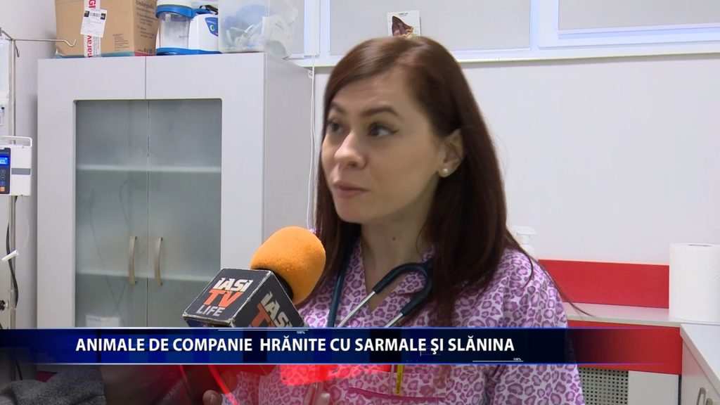 ANIMALE DE COMPANIE HRANITE CU SARMALE SI SLANINA