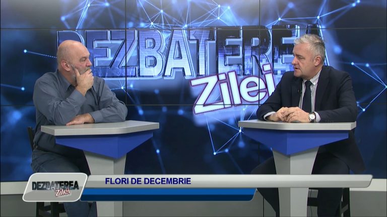 DEZBATEREA ZILEI / FLORI DE DECEMBRIE