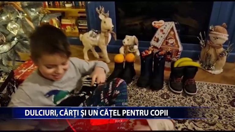 DULCIURI, CARTI SI UN CATEL PENTRU COPII