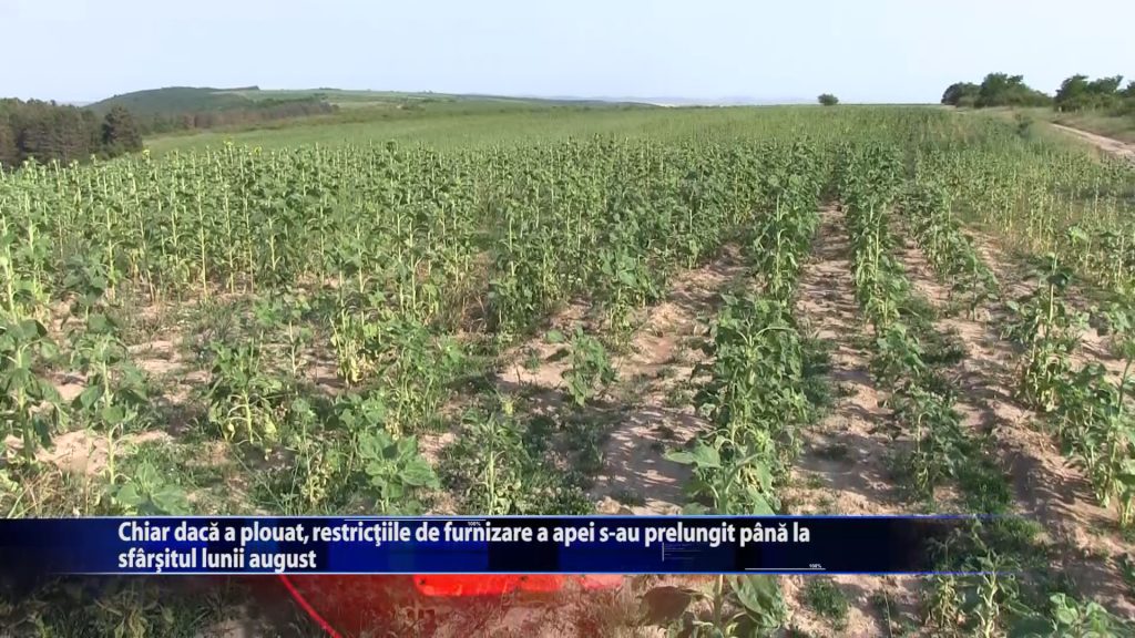 Chiar daca a plouat, restrictiile de furnizare a apei s-au prelungit pana la sfarsitul lunii august