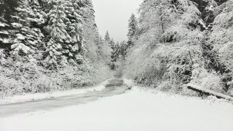 Până luni dimineaţa, cod galben de ninsoare în zece judeţe din România