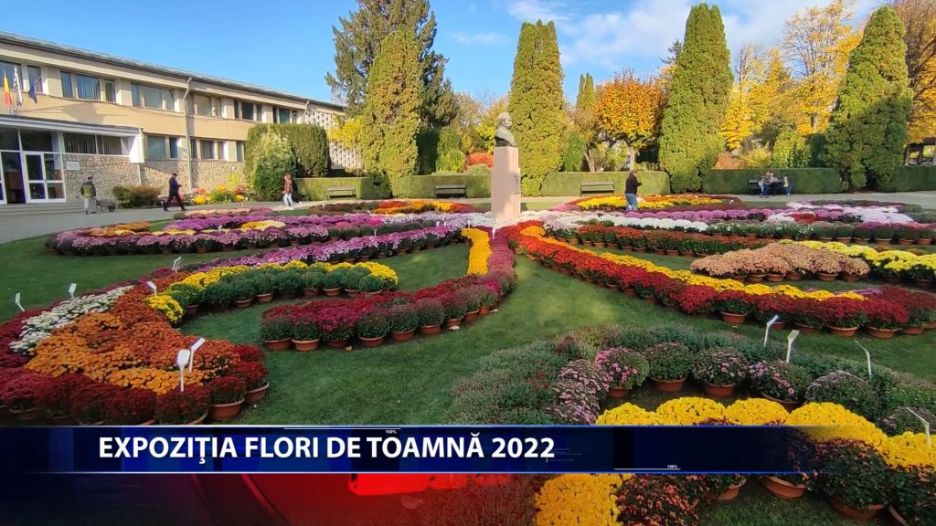 A 46-a editie a expozitiei „Flori de toamna” va debuta duminica, pe 30 septembrie