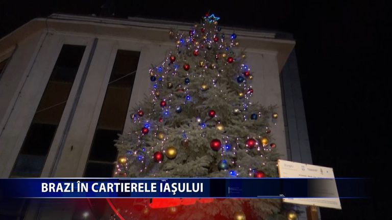 BRAZI IN CARTIERELE IASULUI