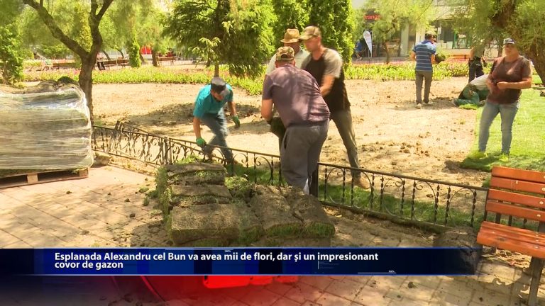 Esplanada Alexandru cel Bun ca avea mii de flori, mii de flori, dar si un impresionant covor de gazon