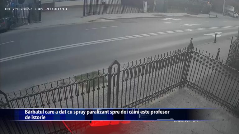 Barbatul care a dat cu spray paralizant spre doi caini este profesor de istorie