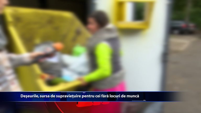 Deseurile, sursa de supravietuire pentru cei fara munca
