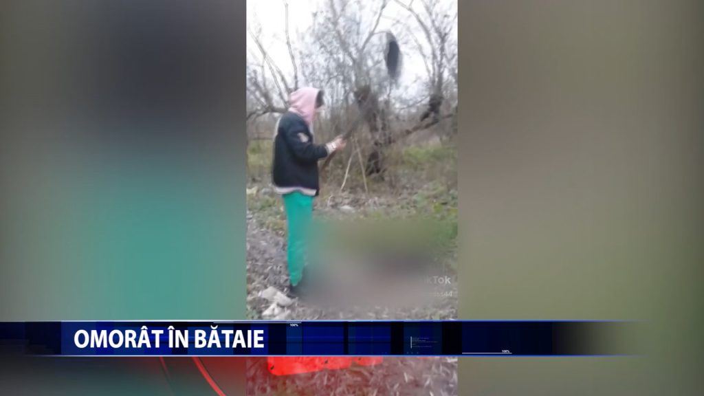 A OMORAT UN CAINE CU LOPATA