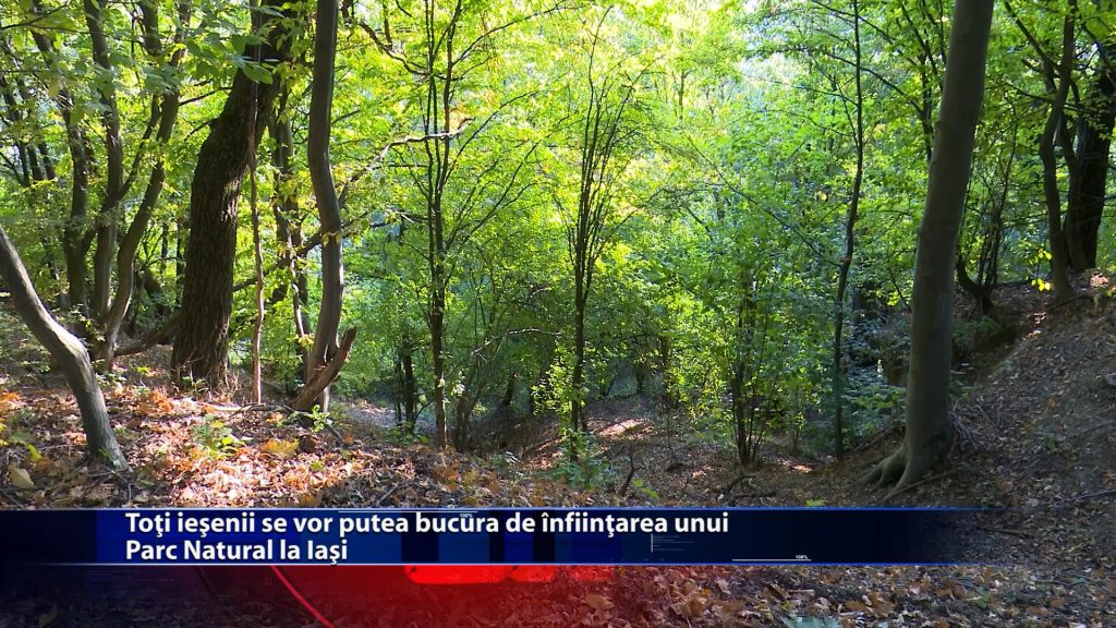 Toți ieșenii se vor putea bucura de înființarea unui Parc Natural la Iași