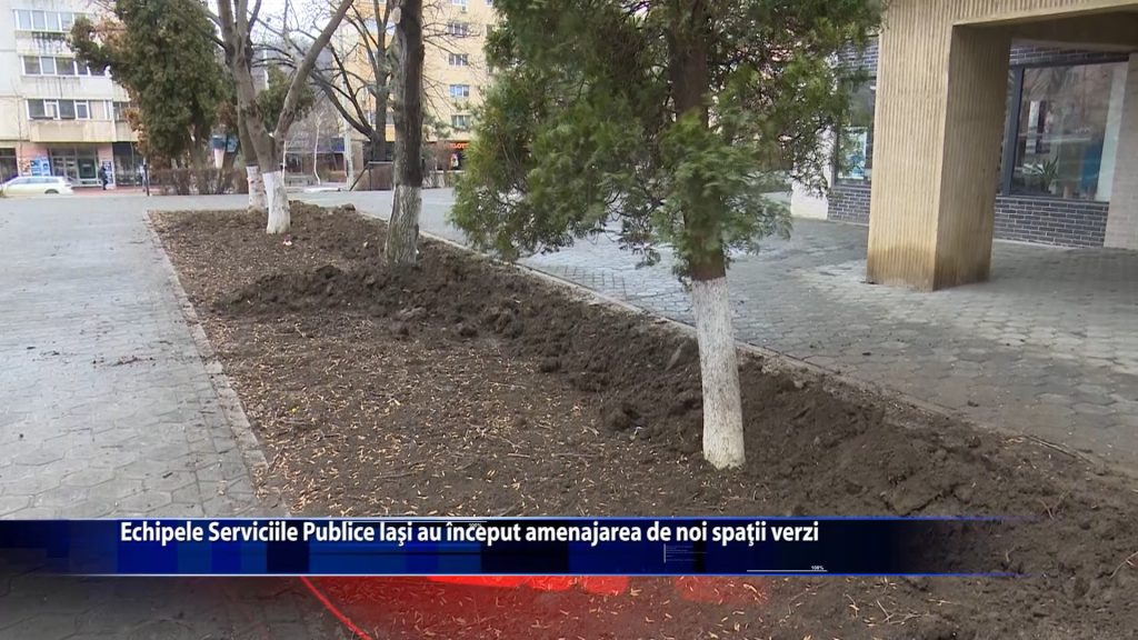 Echipele Servicii Publice Iasi au inceput amenajarea de noi spatii verzi