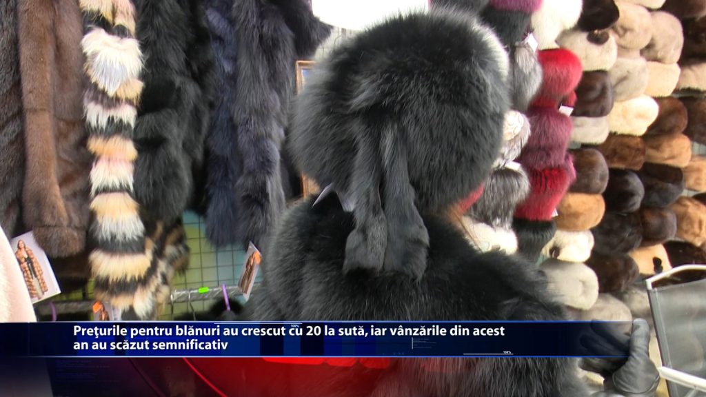 Preturile pentru blanuri au crescut cu 20 la suta, iar vanzarile din acest an au scazut semnificativ