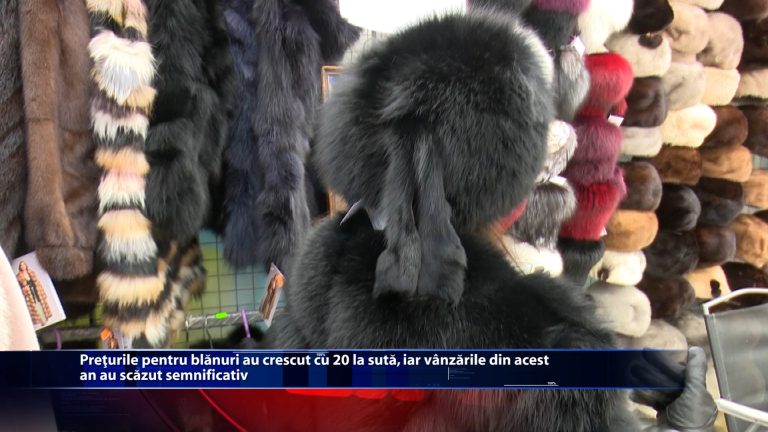 Preturile pentru blanuri au crescut cu 20 la suta, iar vanzarile din acest an au scazut semnificativ