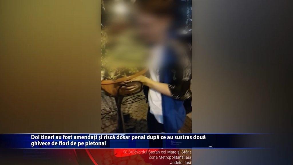 Doi tineri au fost amendati si risca dosar penal dupa ce au sustras doua ghivece de flori de pe pietonal