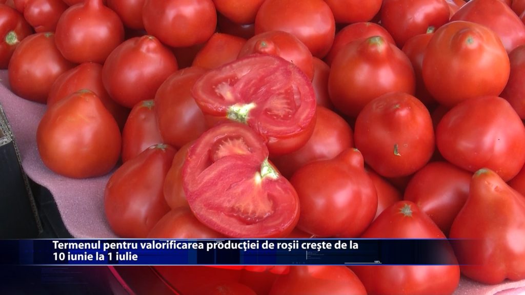 Termenul pentru valorificarea productiei de rosii creste de la 10 iunie la 1 iulie