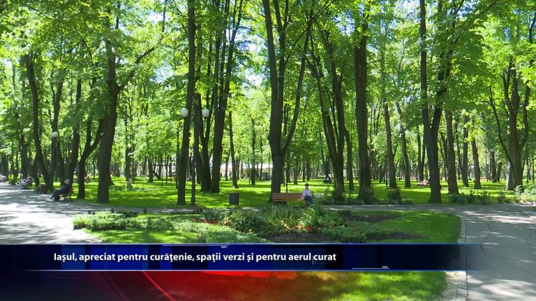 Iasul, apreciat pentru curatenie, spatii verzi si pentru aerul curat