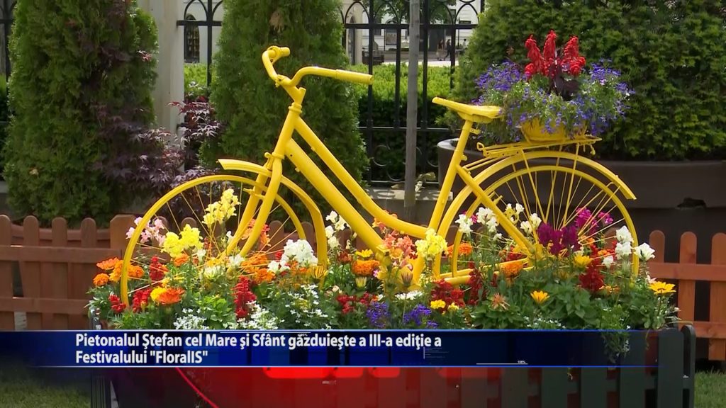 Pietonalul Stefan cel Mare si Sfant gazduieste a III-a editie a Festivalului ,,FloralIS”