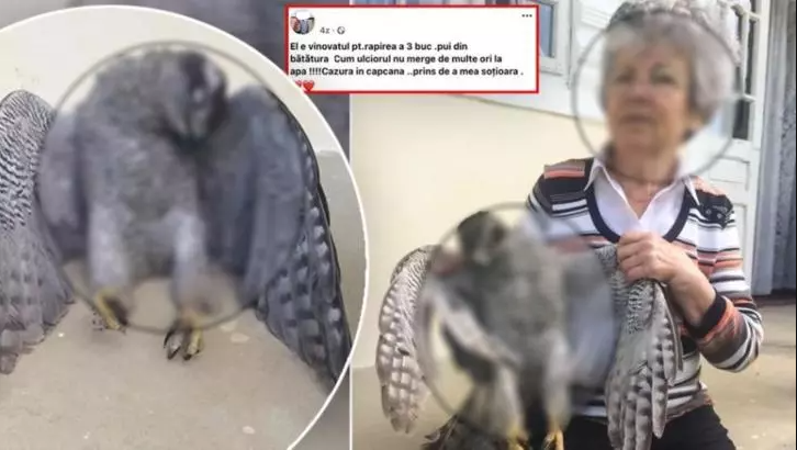 Doi soți din Iași au ucis un uliu cu mâinele goale și s-au lăudat pe Facebook