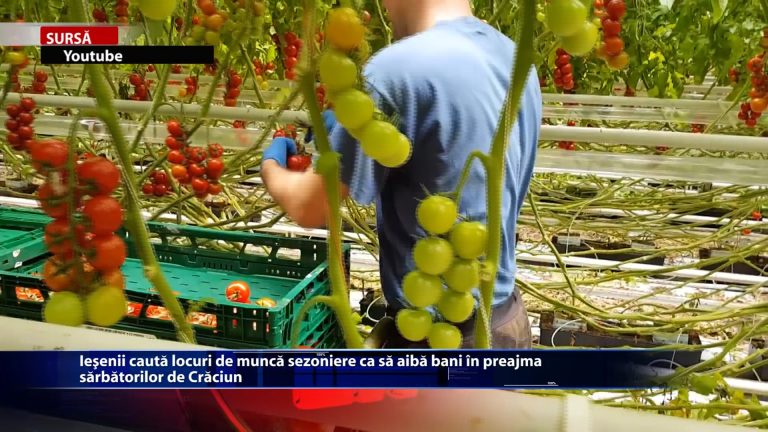 Iesenii cauta locuri de munca sezoniere ca sa aiba bani in preajma sarbatorilor de Craciun