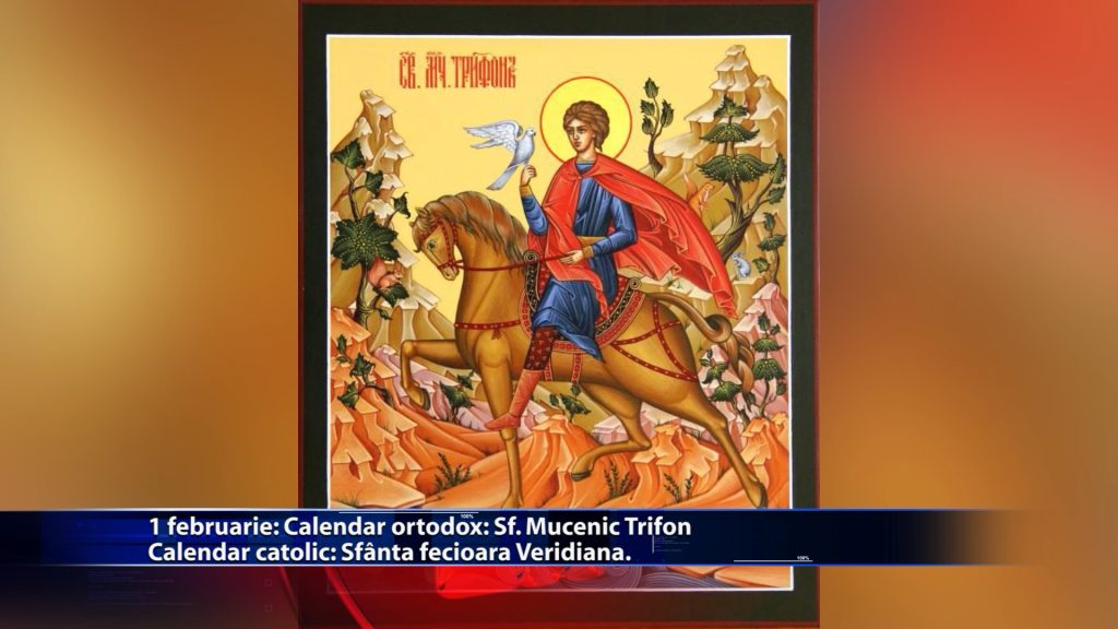 Sfintii zilei: Calendar ortodox: Sf. Mucenic Trifon Calendar catolic: Sf. fecioara Veridiana