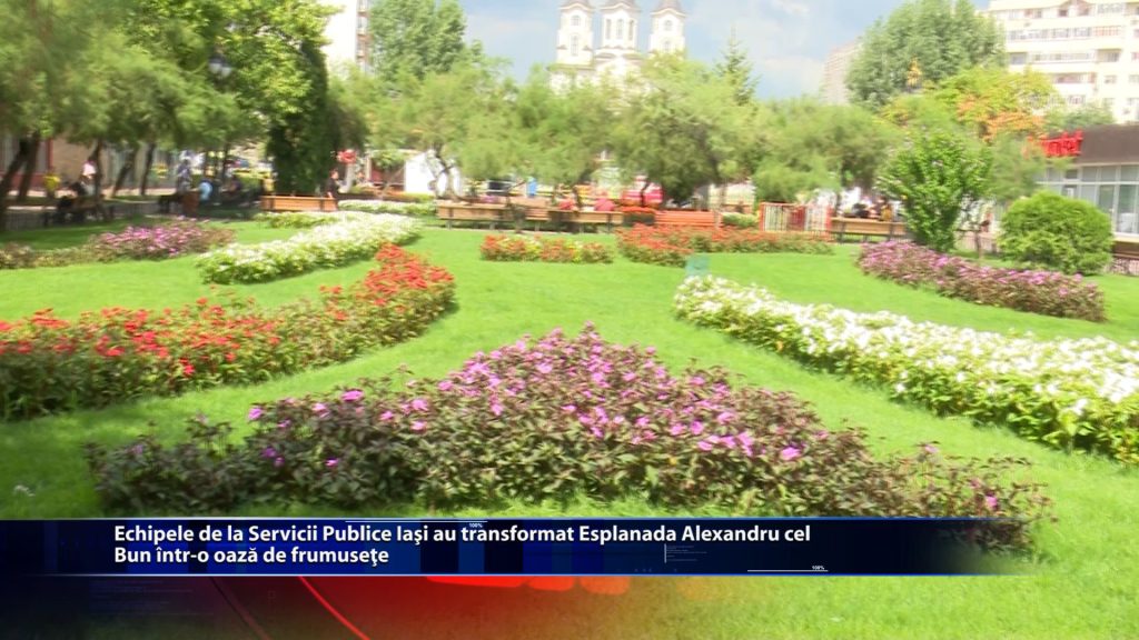 Echipele de la Servicii Publice Iasi au transformat Esplanada Alexandru cel Bun intr-o oaza de frumusete