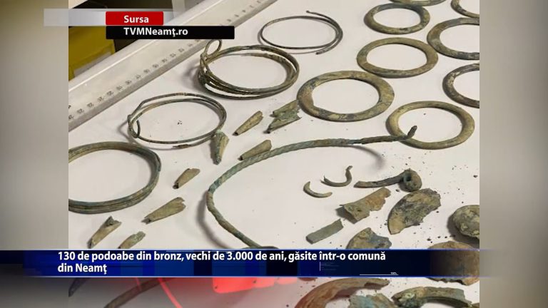 130 de podoabe din bronz, vechi de 3.000 de ani, gasite intr-o comuna din Neamt