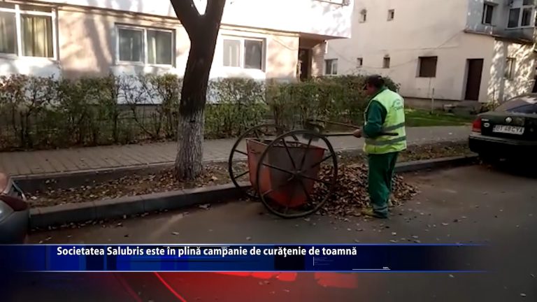 Societatea Salubris este in plina campanie de curatenie de toamna