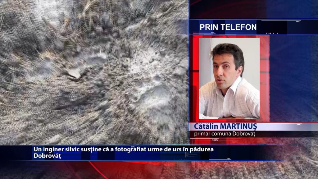 Un inginer silvic sustine ca a fotografiat urme de urs in padurea Dobrovat