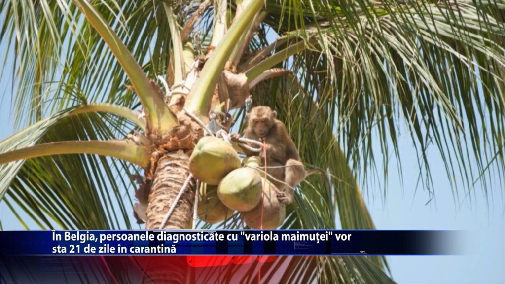 In Belgia, persoanele diagnosticate cu ,,variola maimutei” vor sta 21 de zile in carantina