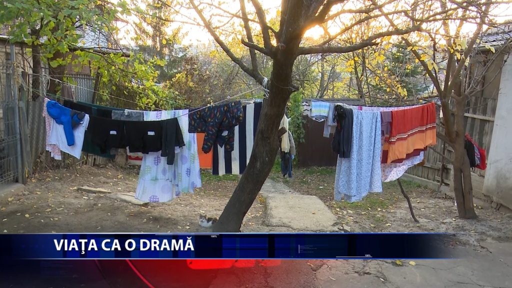 Pentru o familie cu 12 copii, fiecare zi este o lupta pentru supravietuire