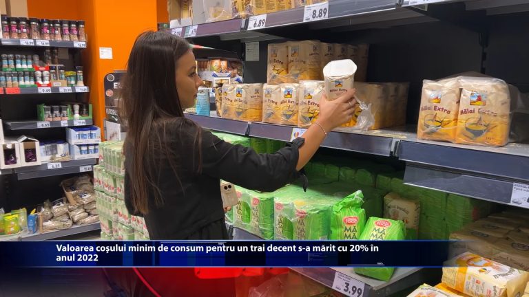 Valoarea cosului minim de consum pentru un trai decent s-a marit cu 20% in anul 2022