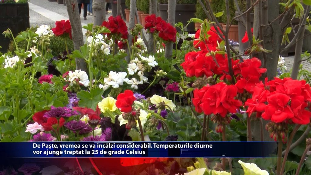 De Paste, vremea se va incalzi considerabil. Temperaturile diurne vor ajunge treptat la 25 de grade Celsius