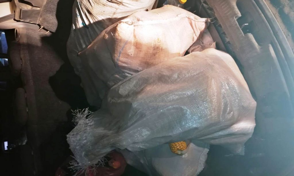 Hoți-braconieri puși paznici la porumb și la căpriori, prinși de polițiștii de frontieră