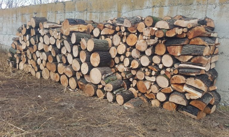 Delicte silvice constatate în zona de responsabilitate de politiştii de frontieră vasluieni