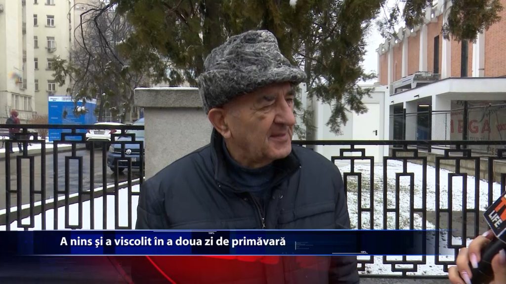 A nins si a viscolit in a doua zi de primavara