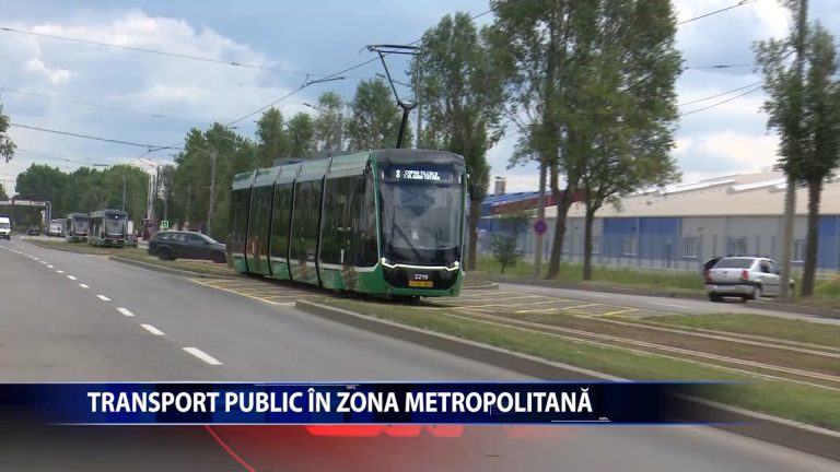 Transport public in Zona Metropolitana