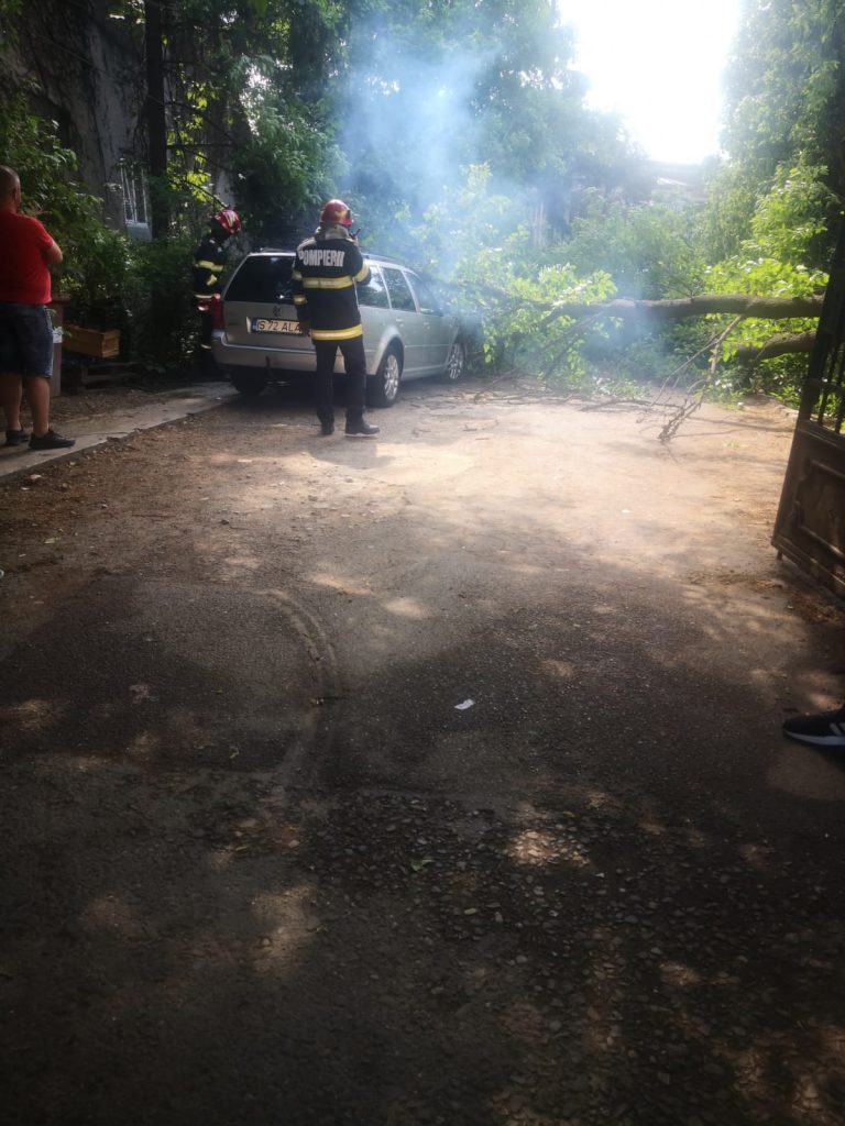 (FOTO) Un copac a căzut pe o maşină în centrul Iaşului