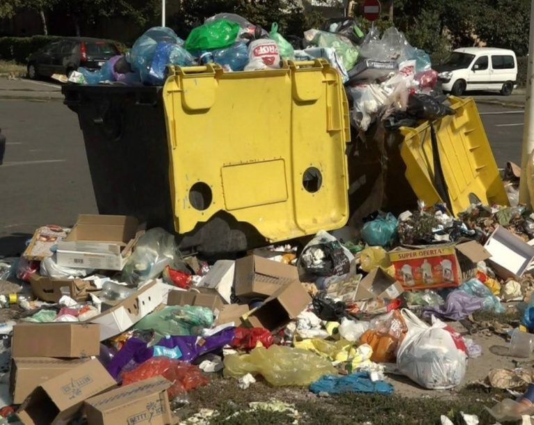 Un om fără adăpost din Botoșani a găsit la gunoi 20.000 de lei, iar ulterior a predat banii poliţiei